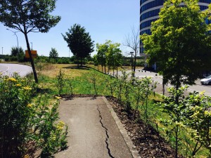 Powtórka z Ostrawy - czeskie służby nie odpuszczają